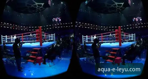 揭秘乐鱼体育平台：2026一站式服务如何重塑你的观赛体验